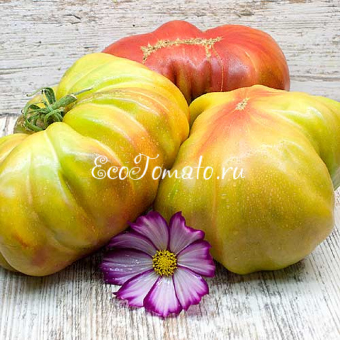 Amazing Amnesia (Удивительная Амнезия)