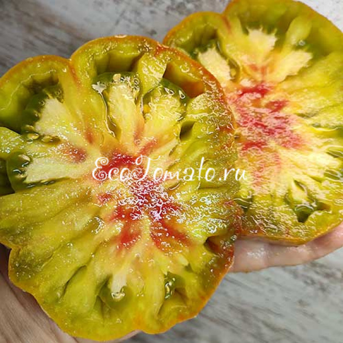 Amazing Amnesia (Удивительная Амнезия)