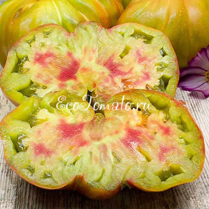 Amazing Amnesia (Удивительная Амнезия)