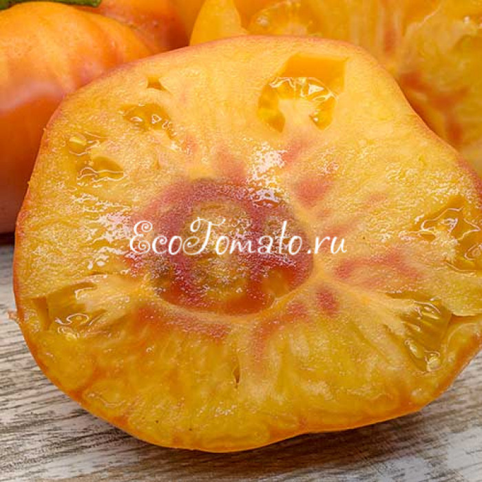 Carmella’s yellow stripes (Желтый полосатый Кармеллы)