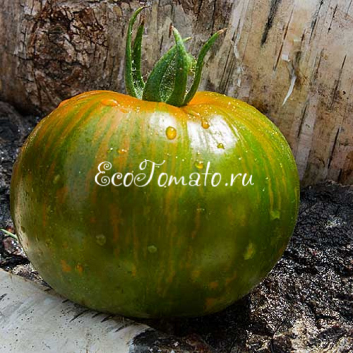 Mystery (Таинство)