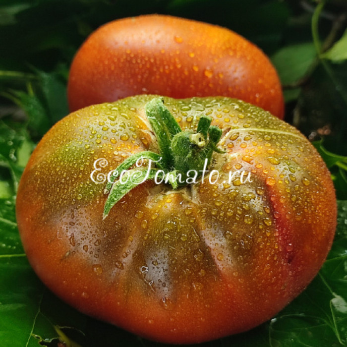 Huge Black (Огромный Черный), США