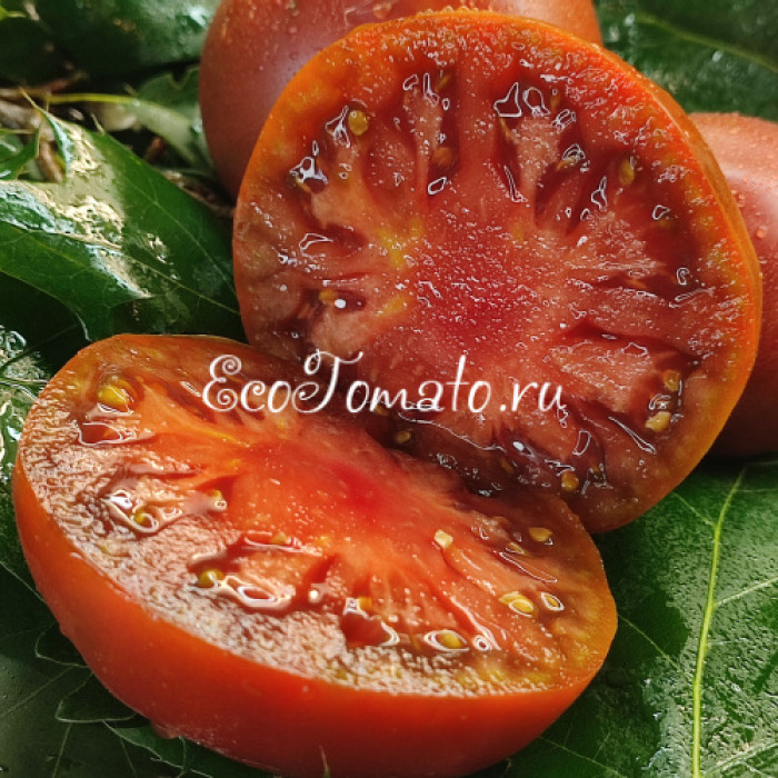 Huge Black (Огромный Черный), США