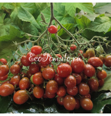 Marchengranat (Сказочный гранат) 