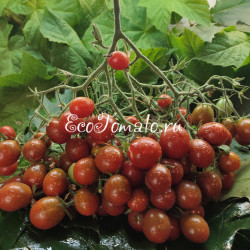 Marchengranat (Сказочный гранат) 