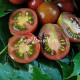 Marchengranat (Сказочный гранат) 