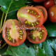 Marchengranat (Сказочный гранат) 