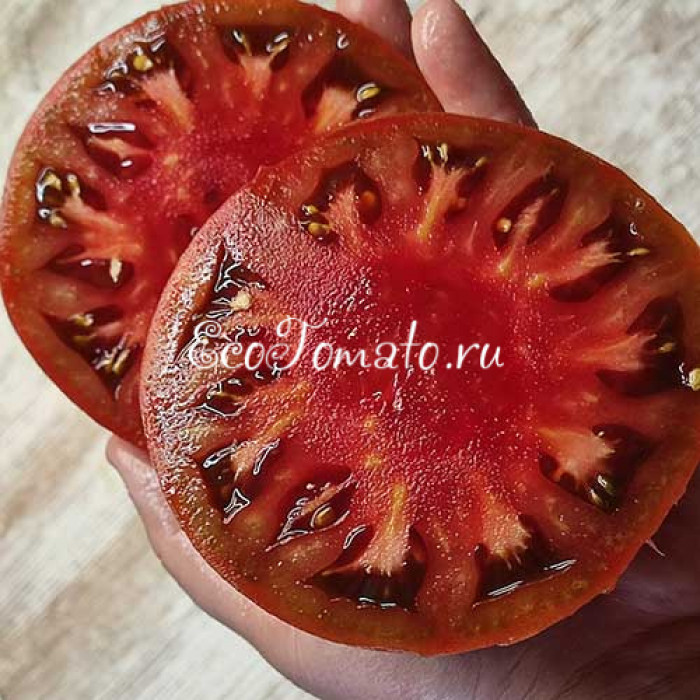 Moruno de Socuellamos (Мавр Сокуэльямос), Испания