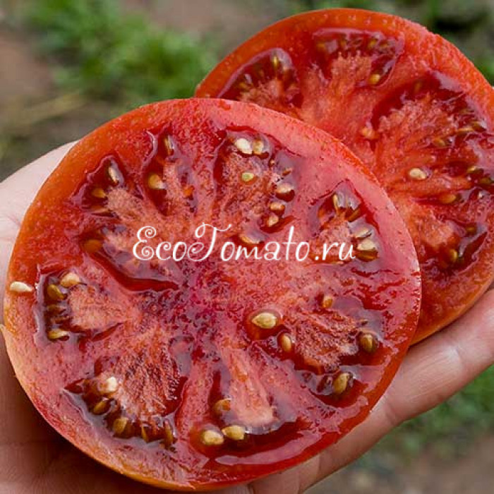 Blaue Kasachstan (Синий Казахстан), Германия