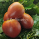Dark brown honey (Темно-коричневый мед)