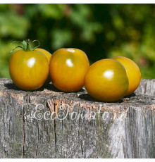 Зеленый виноград (Green Grape), США