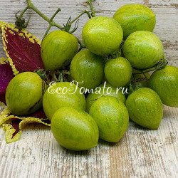 Green Bumble Bee (Зеленый Шмель / Грин Бамбл Би)