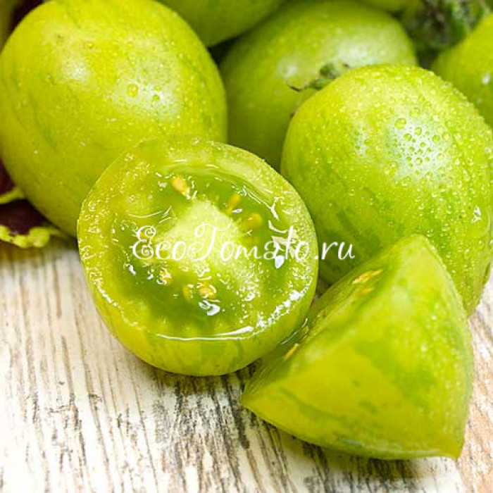 Green Bumble Bee (Зеленый Шмель / Грин Бамбл Би)