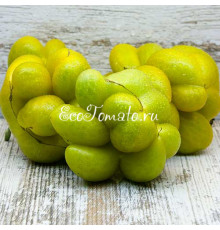 Phil's Two (Второй Фила), Франция