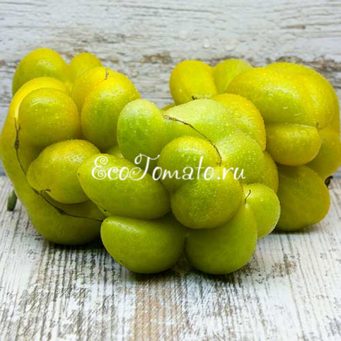 Phil's Two (Второй Фила), Франция