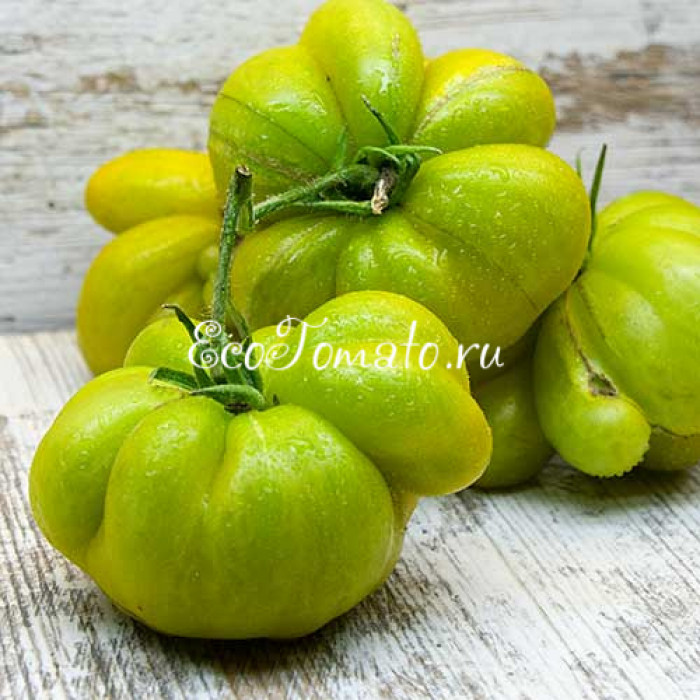 Phil's Two (Второй Фила), Франция