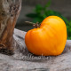 Orange Strawberry (Клубника Оранжевая), США