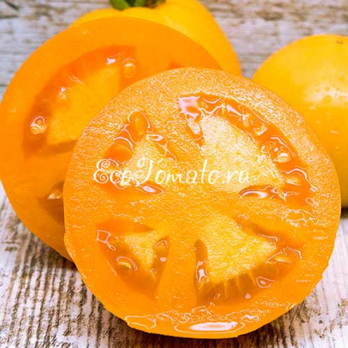 Orange Bulgarische (Оранжевый Болгарский)
