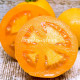 Orange Bulgarische (Оранжевый Болгарский)