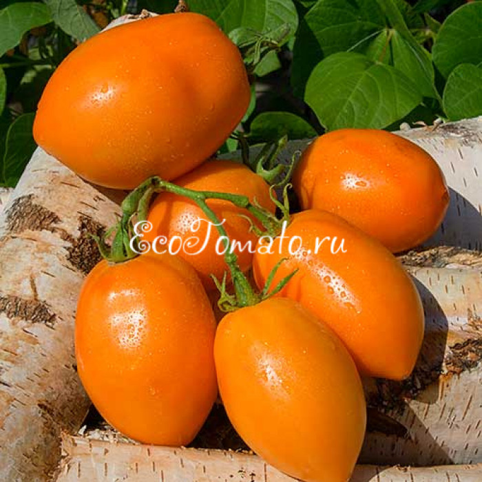 Минусинские Стаканы Оранжевые