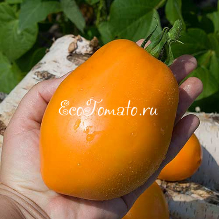 Минусинские Стаканы Оранжевые