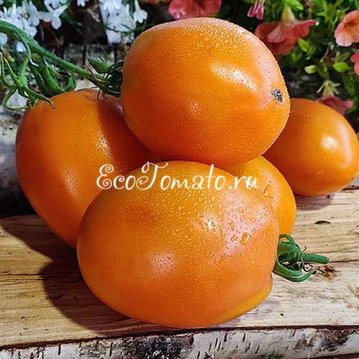 Минусинские Стаканы Оранжевые