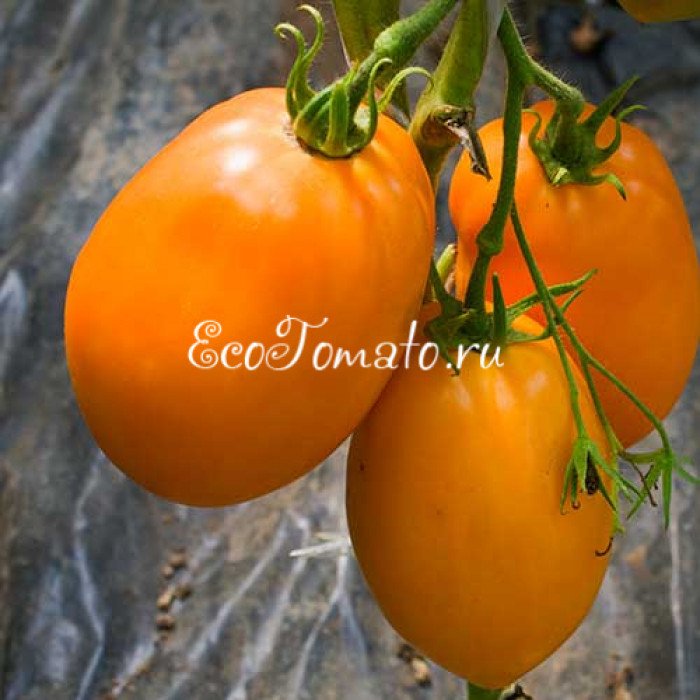 Минусинские Стаканы Оранжевые