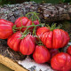 Zapotec Pink Ribbed (Запотек Розовый Ребристый), Мексика