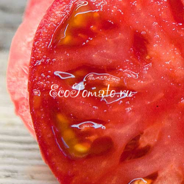Минусинские от Гаркаловой