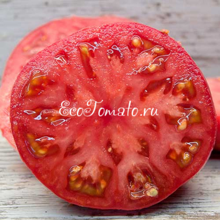 Минусинские от Гаркаловой
