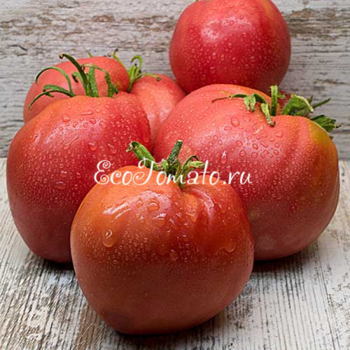 Подсинеевские сердца