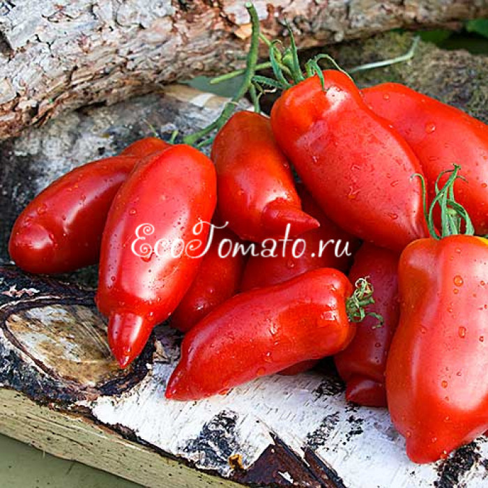 Cow’s Tit (Коровий сосок)