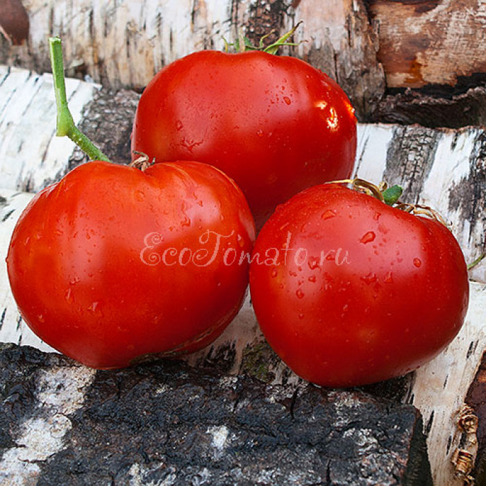 German Red Strawberry (Клубника немецкая, красная)