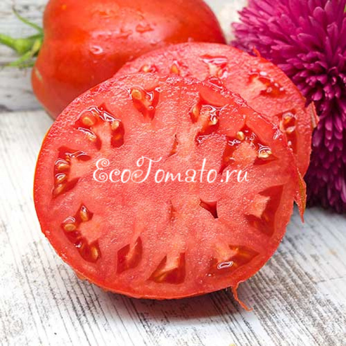 Inima Lui Calin (Сердце Луи Калин), Румыния