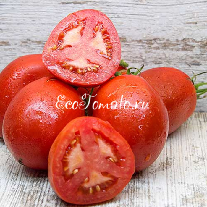 Inima Lui Calin (Сердце Луи Калин), Румыния