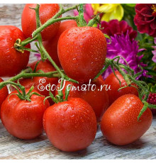 Комбитомат