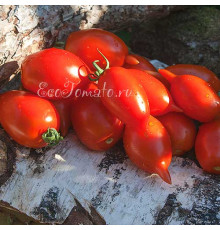 Легенда Тарасенко