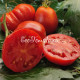 Pomodoro del Nonno di Eupilio (Помидор дедушки Евпилия), Италия