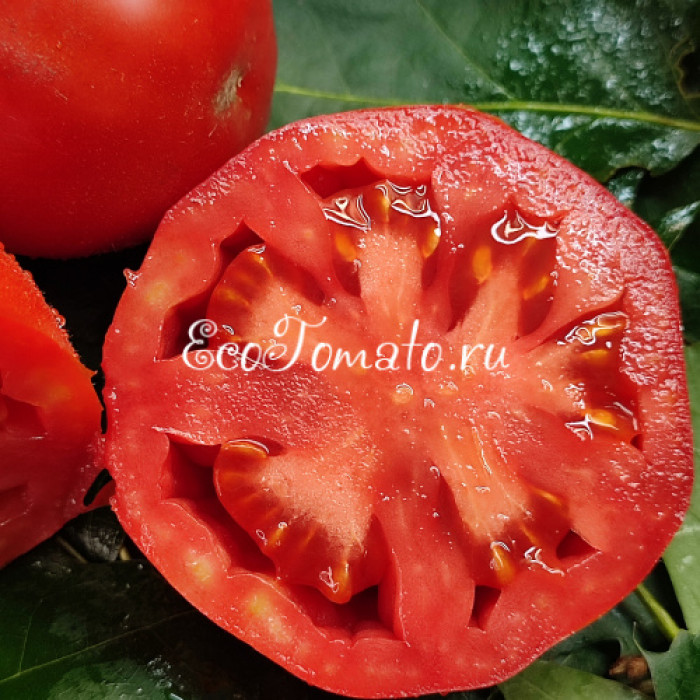Pomodoro del Nonno di Eupilio (Помидор дедушки Евпилия), Италия