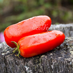 San Marzano 2