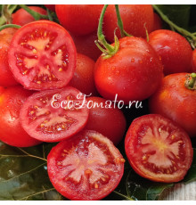 Гибрид 6 Тарасенко