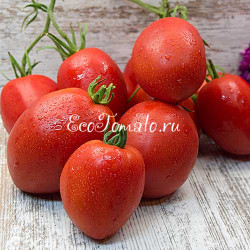 Минусинские стаканчики