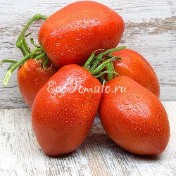 Минусинские стаканы красные