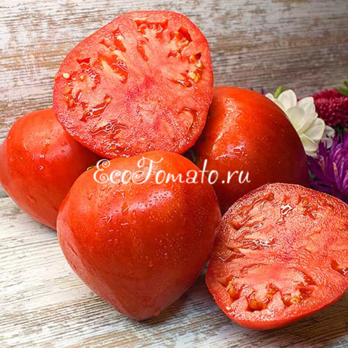 Минусинский Гигант Кяшкиной