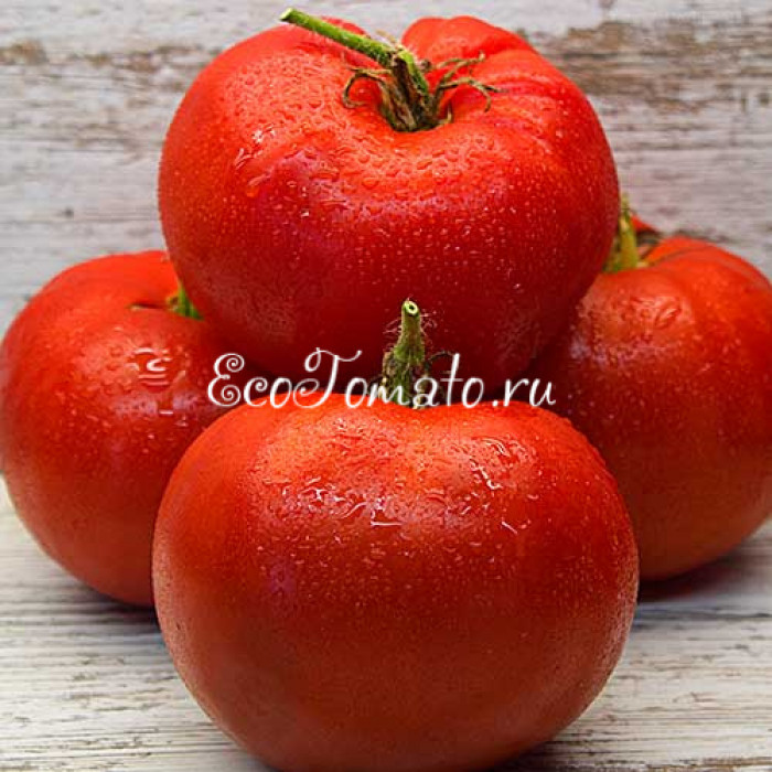 Минусинский местный от Сонина
