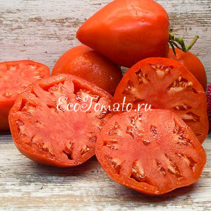Минусинское бычье сердце Абрамовой