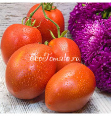 Солдатово, красная версия