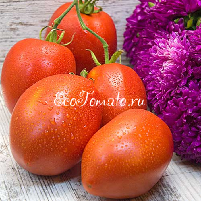 Солдатово, красная версия