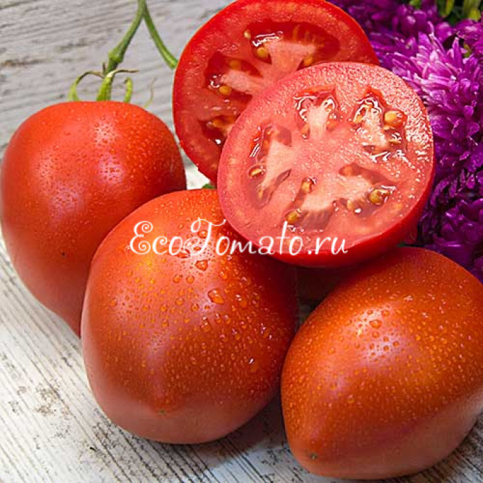 Солдатово, красная версия