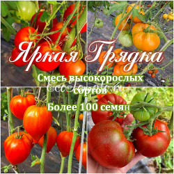 Яркая Грядка, смесь семян высокорослых томатов Яркая Грядка, смесь семян высокорослых томатов